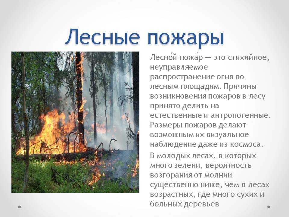 Природные пожары, лесные, степные, полевые и торфяные, поражающие факторы, характеристики пожаров, подготовка населения к действиям в условиях лесных пожаров. | выживание в дикой природе
