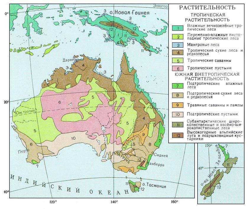 География австралии: рельеф, климат, пустыни, внутренние воды, полезные ископаемые, флора и фауна