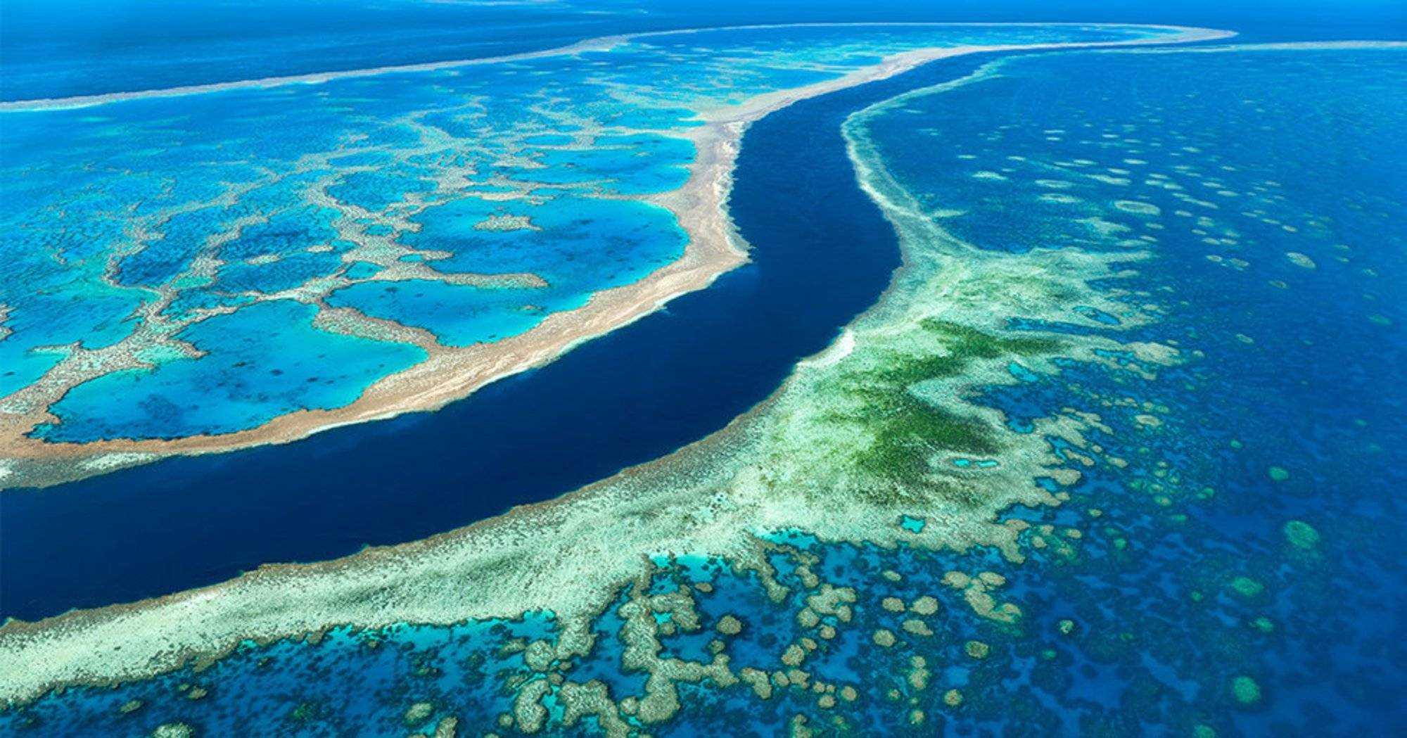Большой барьерный риф. 7 чудес природы