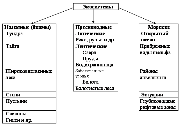 Биом - biome - abcdef.wiki