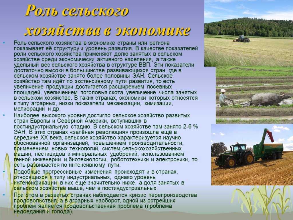 Растениеводство - это отрасль сельского хозяйства, занимающаяся возделыванием культурных растений. растениеводство в россии