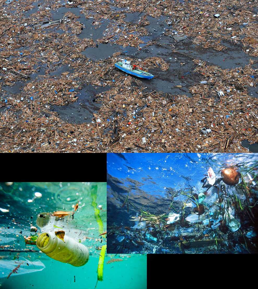 Большое мусорное пятно в тихом океане: что это и где находится
