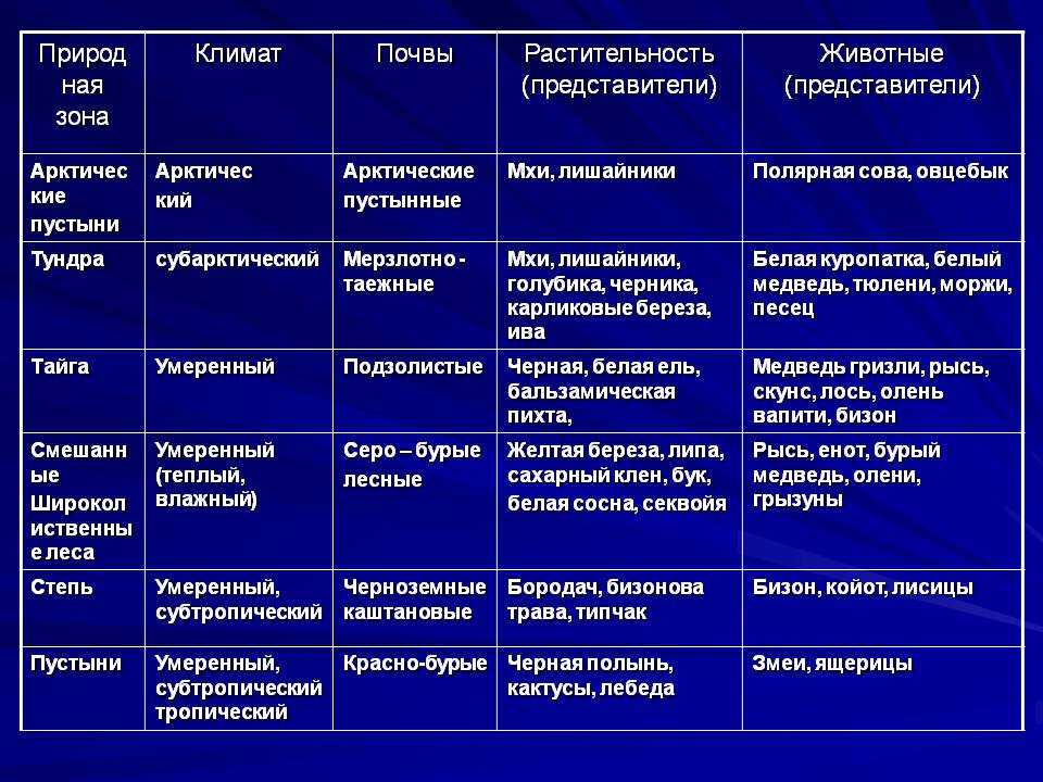 Природные зоны россии — список, описание, климат, почвы, животные и растения