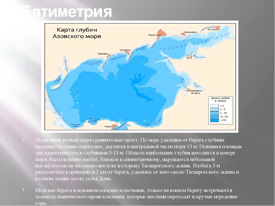 Промысловые рыбы черного моря