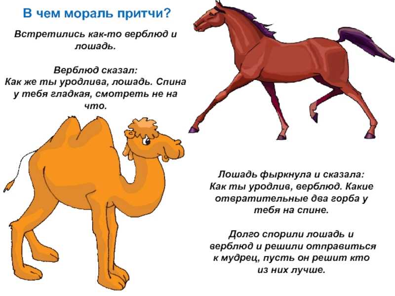 Притча о лошади. Стих про верблюда и лошадь. Притча про коня. Верблюд и лошадь. Притча о животных с моралью.