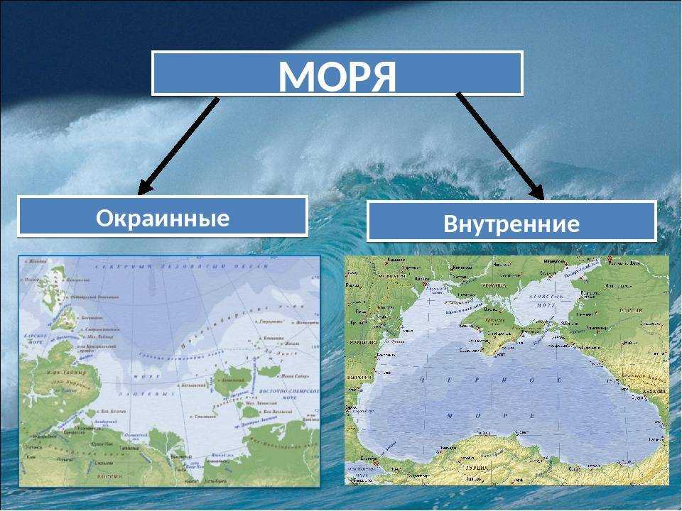 Какие моря находятся в россии