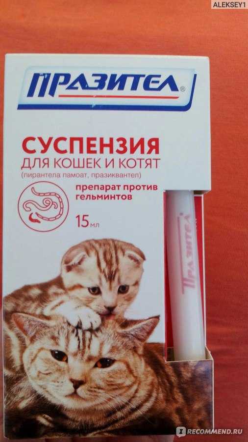 Празител таблетки для кошек - инструкция по применению