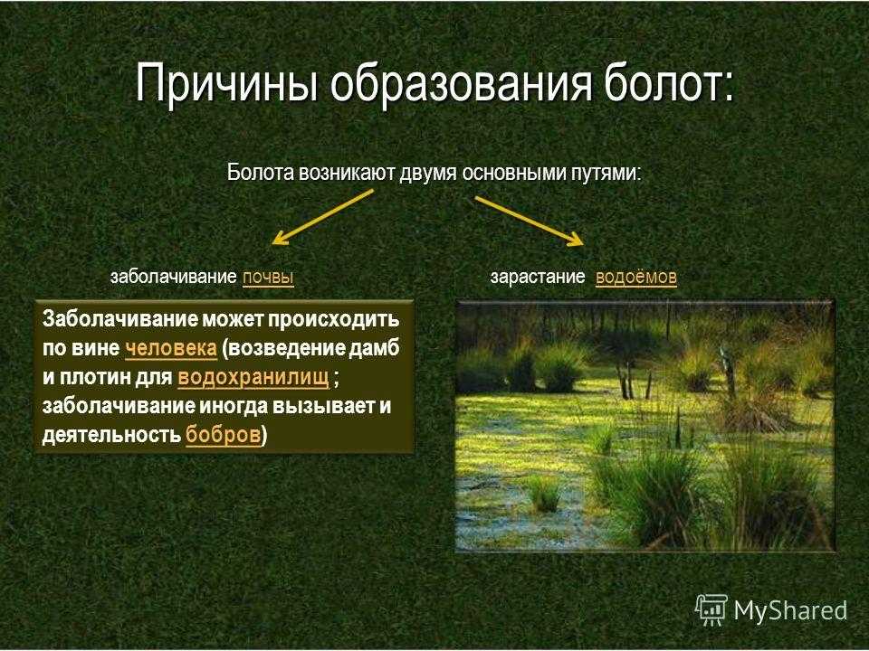 В этой статье представлена карта, а также список с названиями и кратким описанием десяти самых больших болот России