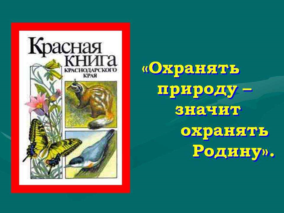 Редкие животные из красной книги краснодарского края – список, характеристика и фото