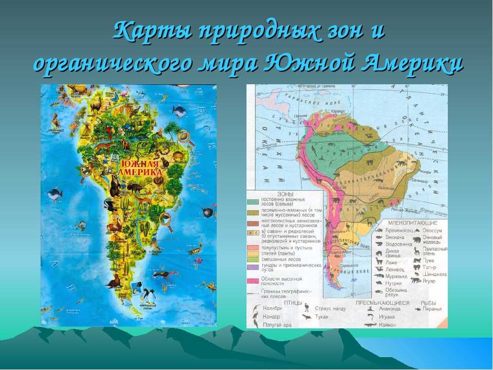 Природные зоны южных материков - описание, характеристика и особенности природы и климата