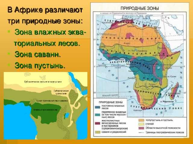 Природные зоны африки. таблица, карта, фото, описание, климат, география окружающего мира