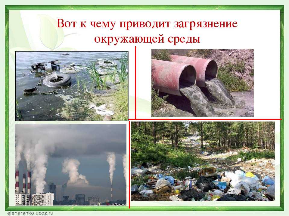 Экология россии: текущая ситуация, проблемы и пути решения