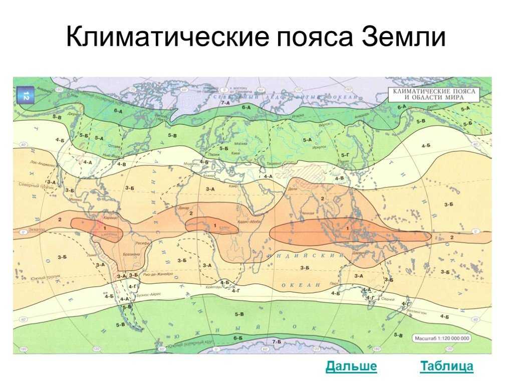 Природные зоны европейской части россии - климатические условия и особенности положения