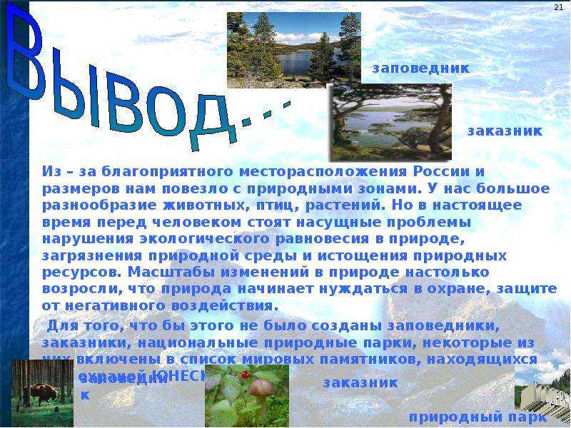 Безлесные природные зоны россии - климатические условия, особенности флоры и фауны