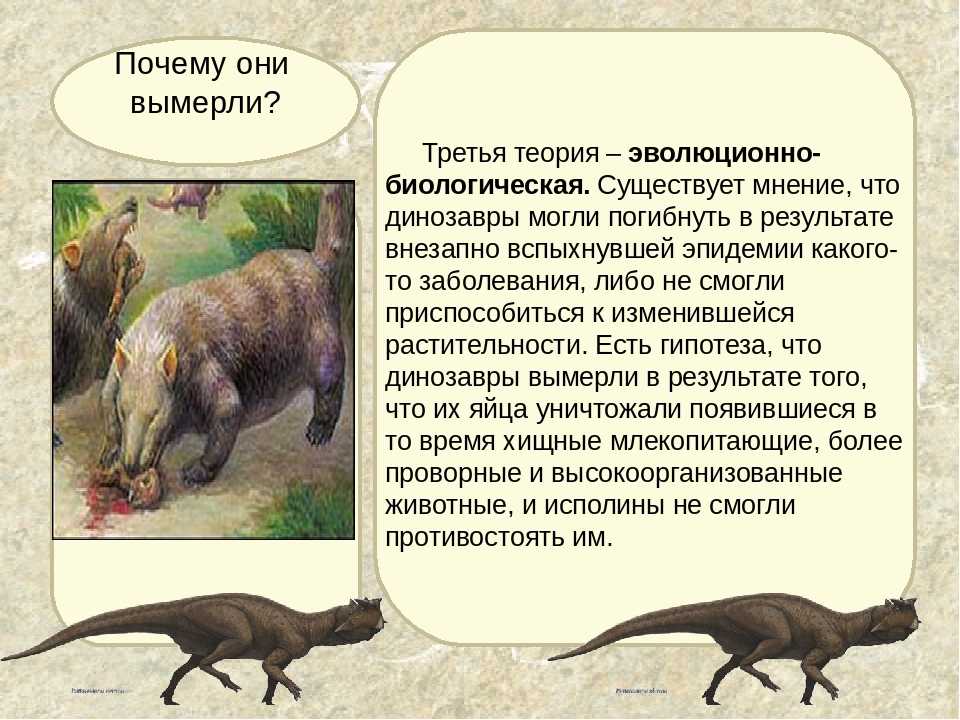 Почему вымерли динозавры: существенные доказательства
