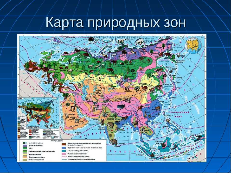 Карта евразии зоны