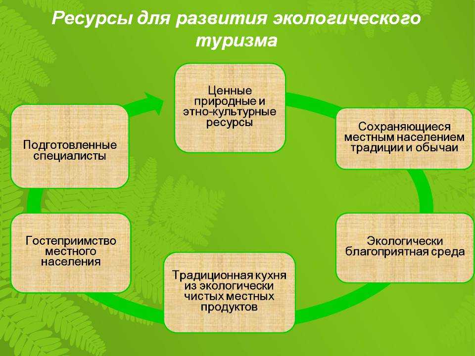 Виды, значение и цели экотуризма в россии и по всему миру
