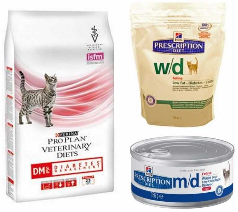 Корма для кошек при заболевании печени: их виды и состав, отзывы ветеринаров и владельцев животных, особенности кормления натуральной пищей