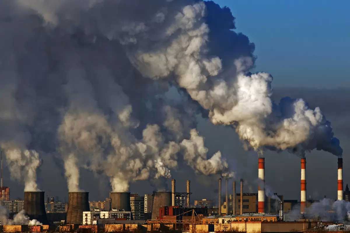 Виды загрязнения окружающей среды