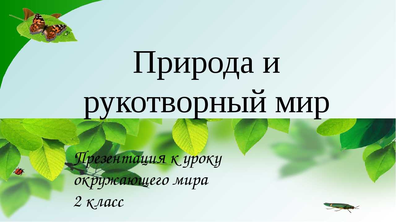 Живая и неживая природа определение, отличие, признаки, примеры явлений и предметов - tarologiay.ru