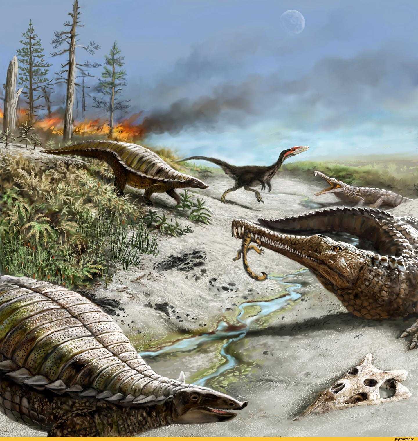 Триасовый период мезозойской эры | продолжительность, климат, ароморфозы, флора и фауна триаса