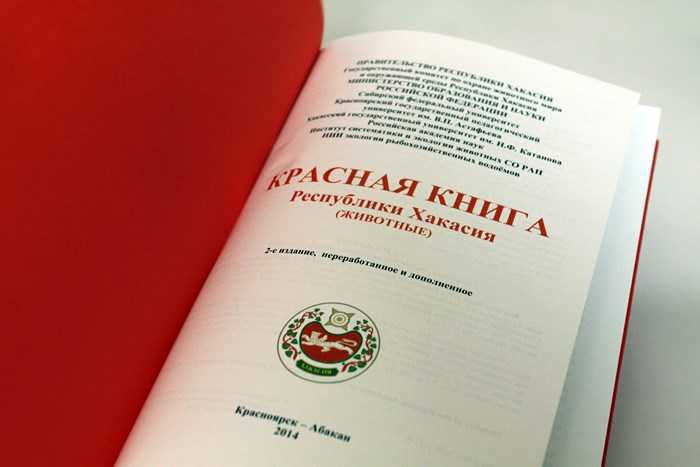 Животные красной книги россии и мира: фото, название, описание