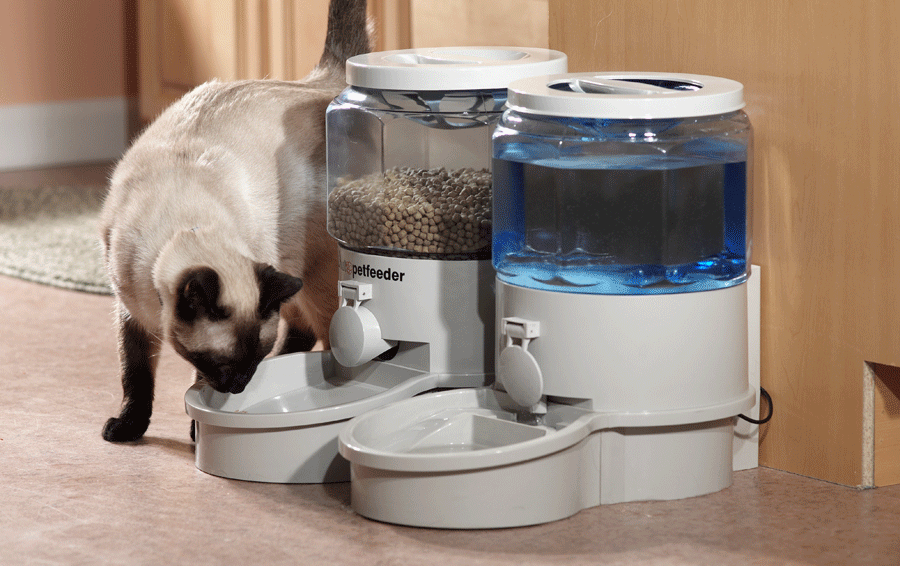 Автоматическая кормушка для кошек с таймером и дозатором: как выбрать