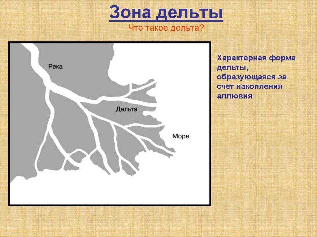 Устье и дельта. Дельта реки строение реки. Строение дельты реки. Что такое Дельта реки в географии. Дело.