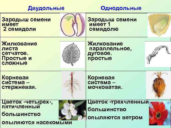 Биология