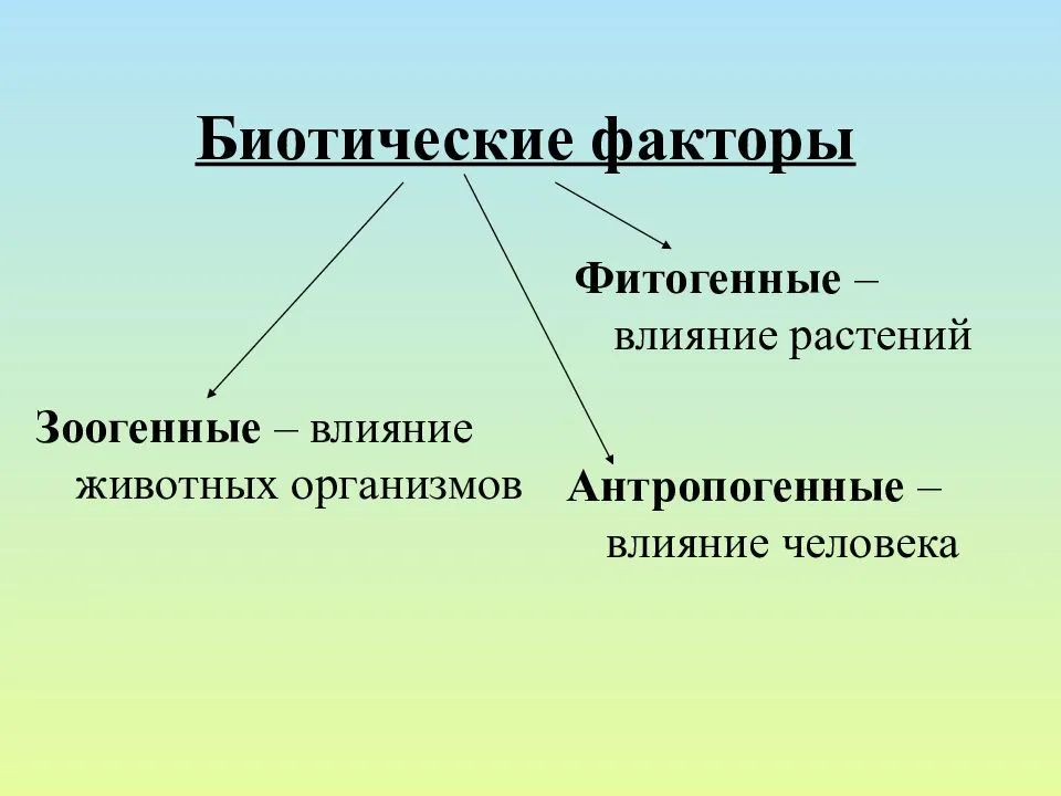 Вода биотический фактор среды. Фитогенные биотические факторы. Биотические факторы фитогенные зоогенные. Влияние биотических факторов на животных. Биоритмические факторы.