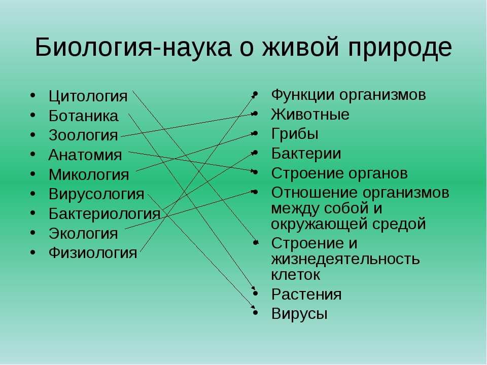 Установите соответствие между живыми организмами. Науки биологии. Биологические дисциплины. Разделы биологии. Биология наука о живой природе.