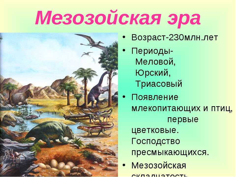 Мезозойскую эру иногда называют эрой динозавров, потому что эти животные были доминирующими представителями фауны на протяжении большой части мезозоя