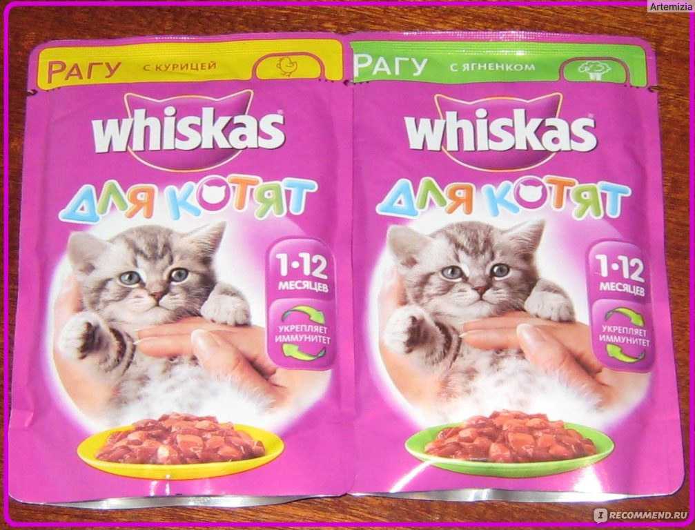 Особенности корма whiskas для кошек