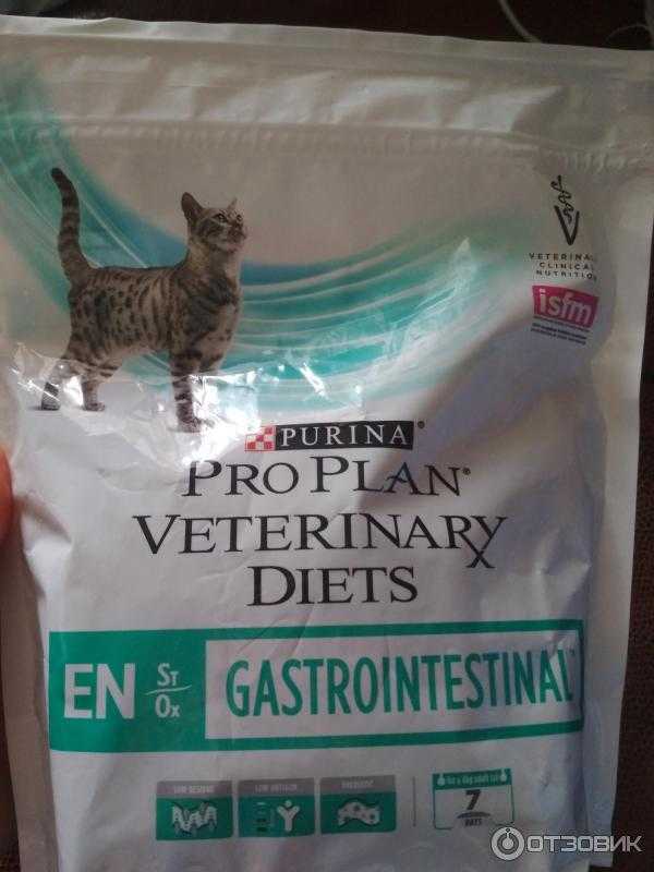 Чем кормить кошку с больной печенью: корм, натуральная пища