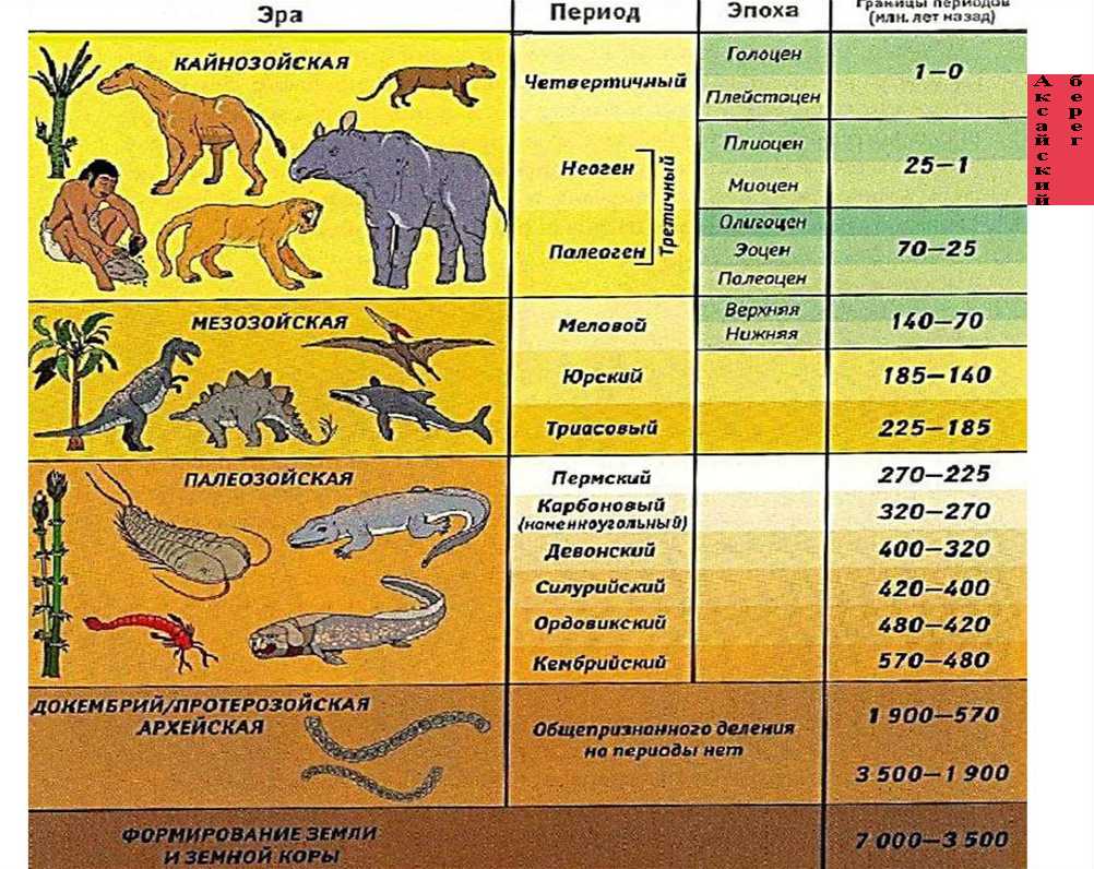 Четвертичный период, или антропоген (2,6 млн лет назад – до настоящего времени)