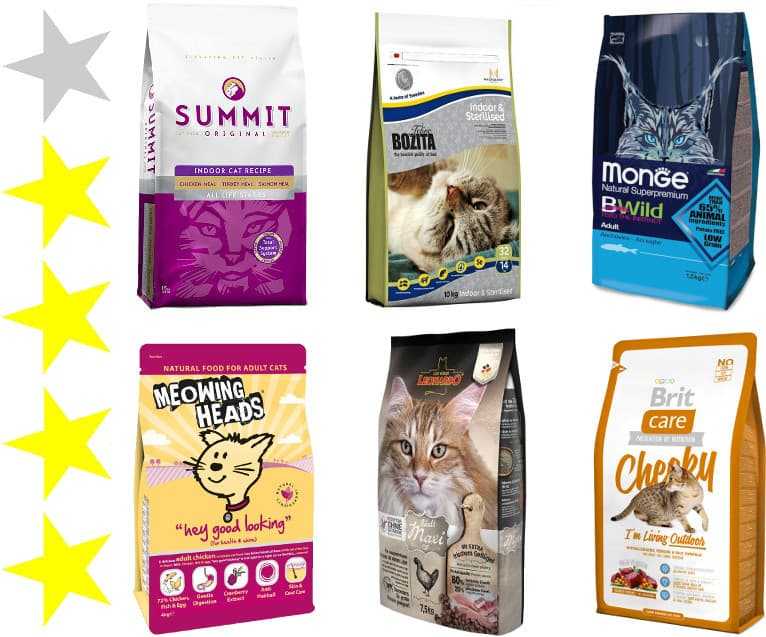 Топ-15 лучших кормов для котят: правильное питание для ваших любимцев