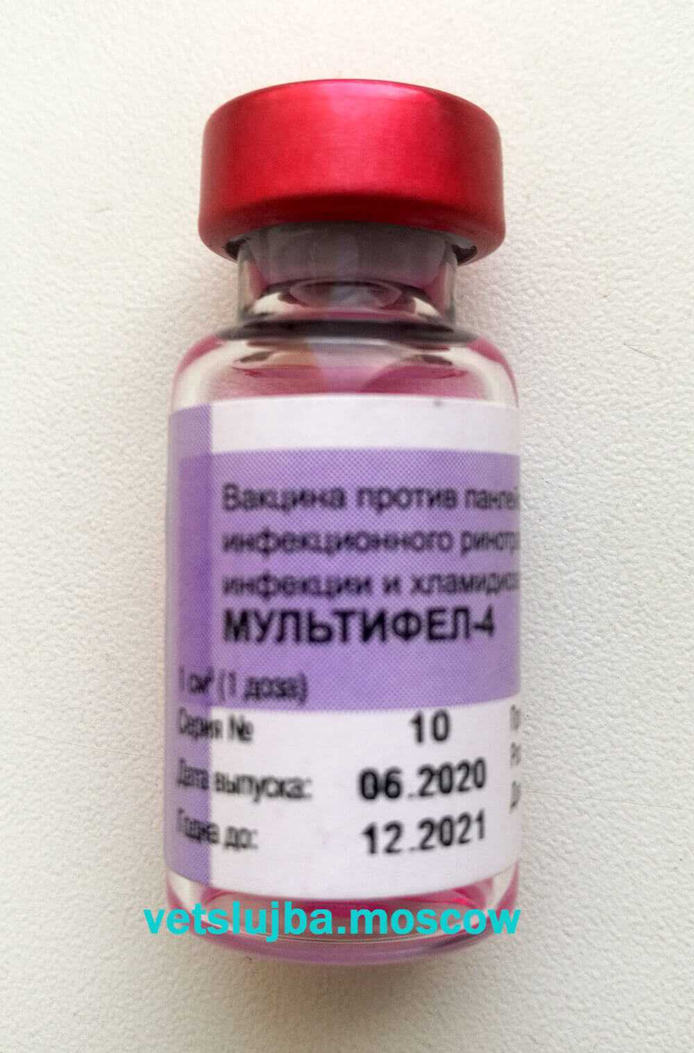 Вакцина мультифел-4 инструкция для кошек, состав, описание и отзывы – 1st-finstep.ru