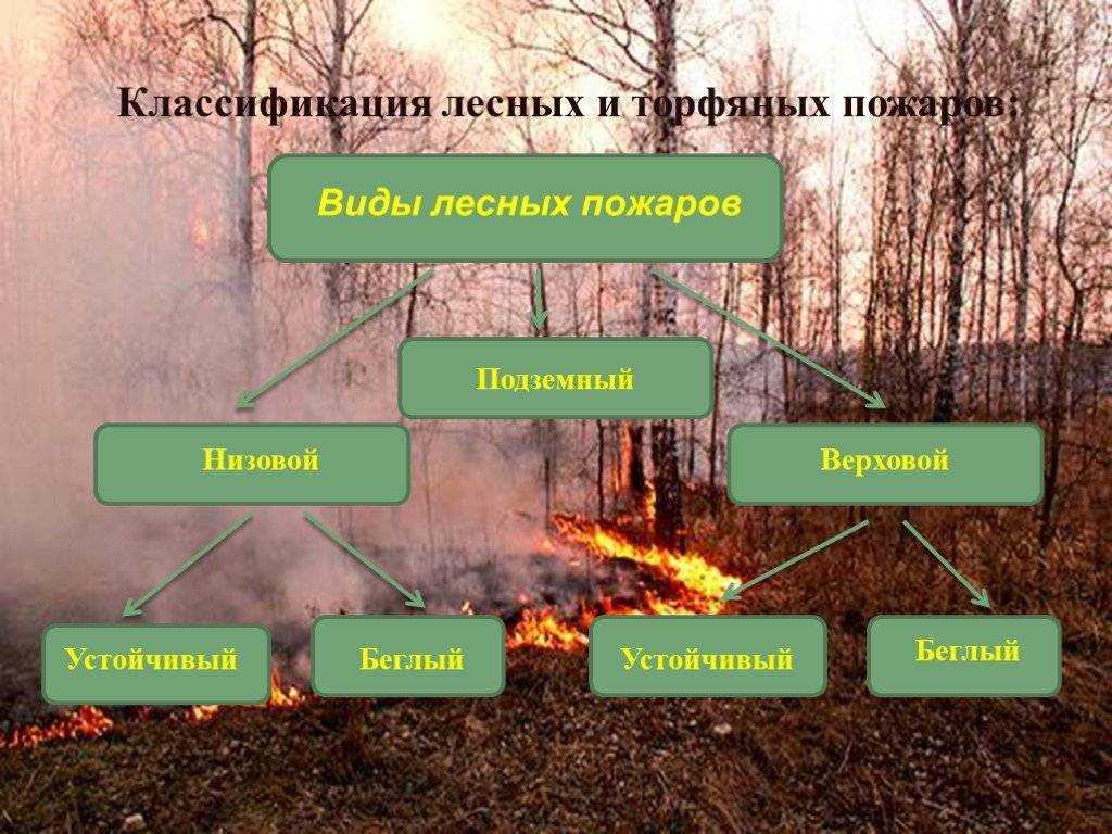 Лесные пожары – тушение, последствия и причины возникновения