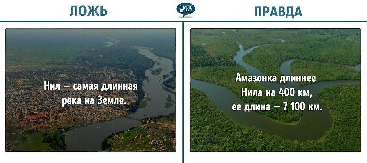 Река амазонка: карта, исток, длина, куда впадает, глубина