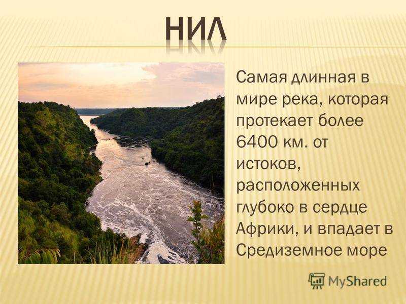 Все самое-самое на планете: самые большие деревья, здания, реки, озера и другие достопримечательности на туристер.ру