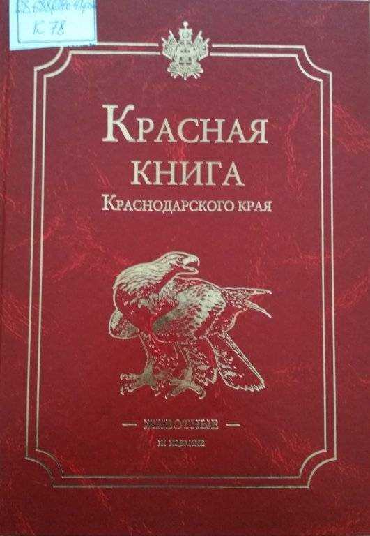 Редкие животные из красной книги россии и всего мира с фото