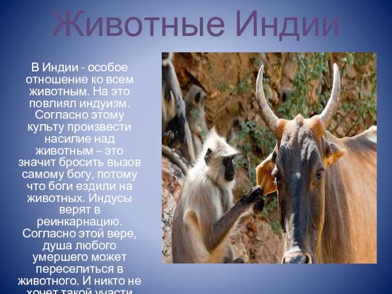 Список национальных животных - list of national animals - abcdef.wiki