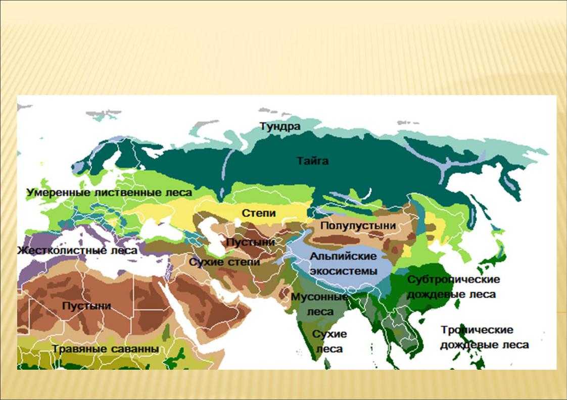 Природные зоны африки. таблица, карта, фото, описание, климат, география окружающего мира