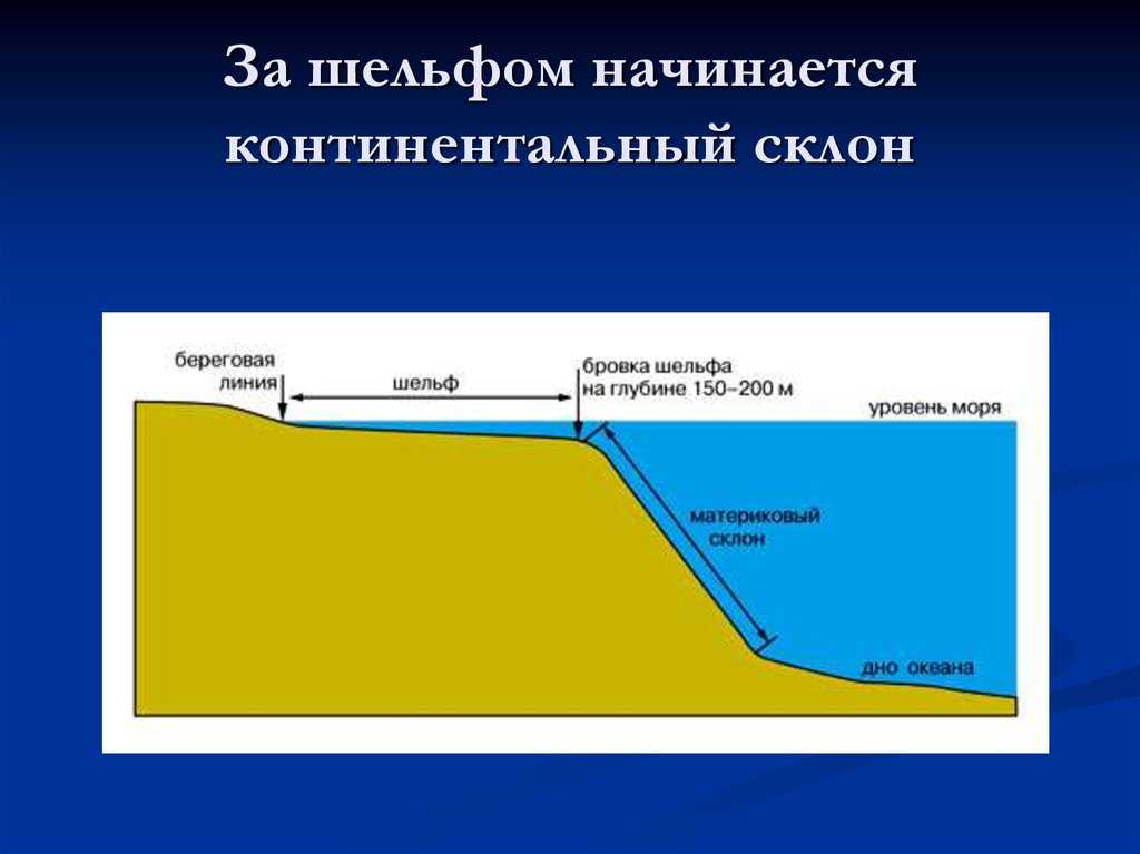Равнины – это важнейшая часть рельефа земли :: syl.ru