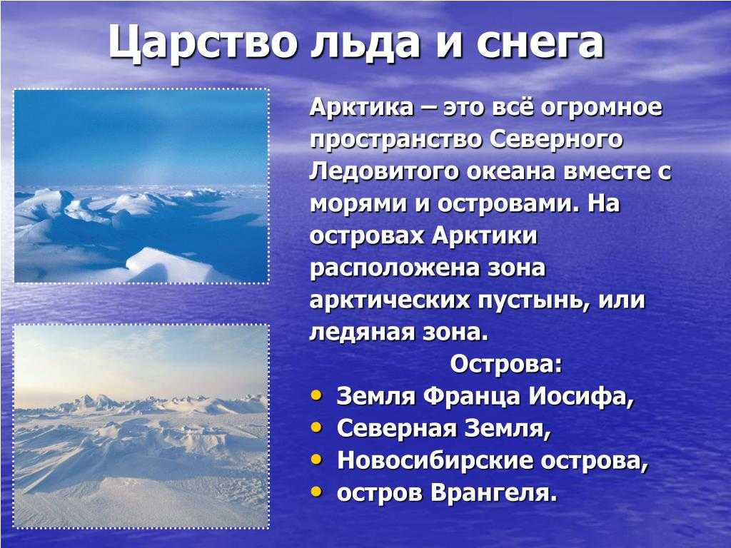 Окружающий мир 4 класс тема арктические пустыни. Зона арктических пустынь царство снега и льда 4 класс. Зона арктических пустынь 4 класс. Доклад на тему Арктика. Сообщение на тему Арктика.