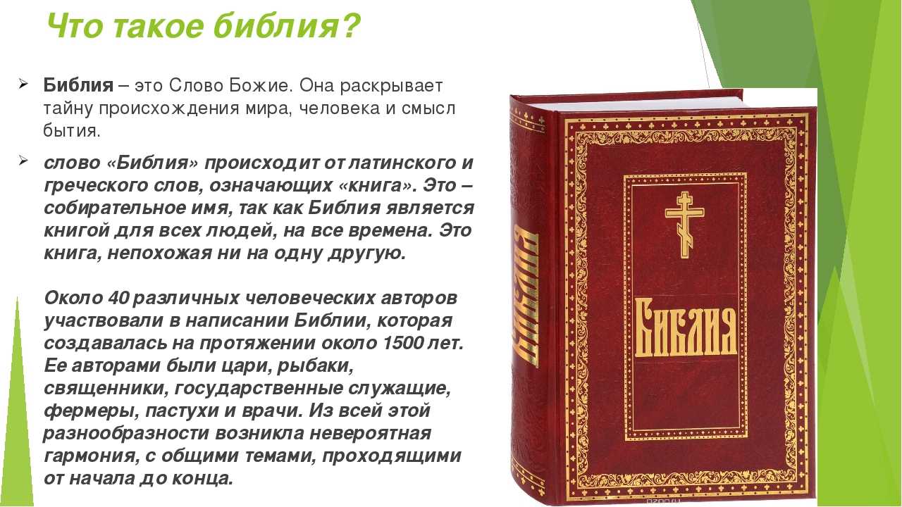 Доклад-сообщение: "об одном растении из красной книги россии" — природа мира