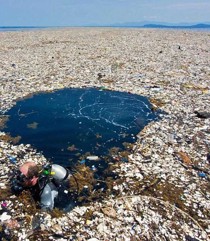 Вопреки распространенному мнению, Большое тихоокеанское мусорное пятно не является огромным островом твердого мусора, плавающим в Тихом океане