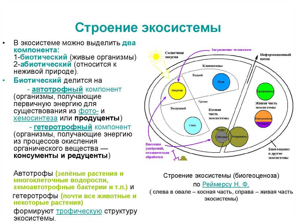 Характеристика природной системы