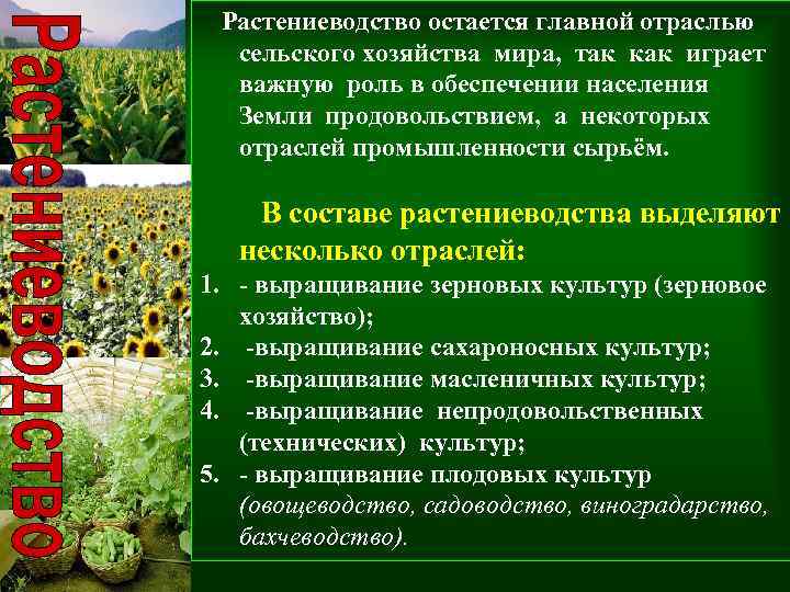 Сельское хозяйство россии