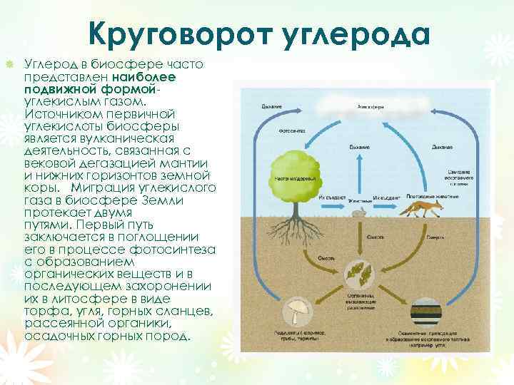 Круговорот кислорода: схема, описание процесса и его значение для жизни на земле